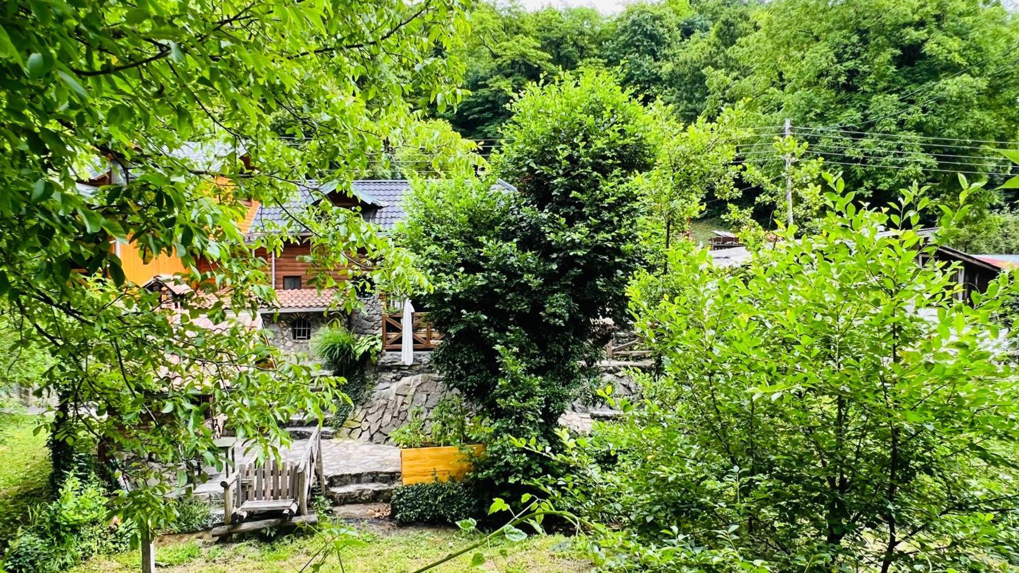 Kuca Za Odmor Bajka Villa Jastrebarsko Ngoại thất bức ảnh